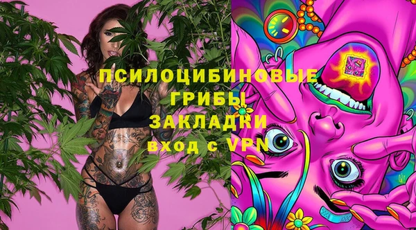 кокс Алзамай