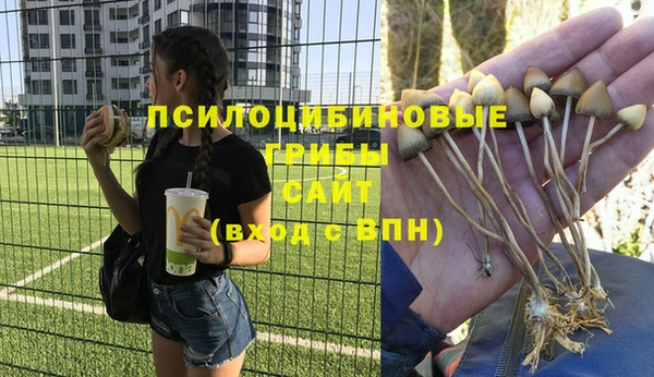 гидра Алексин