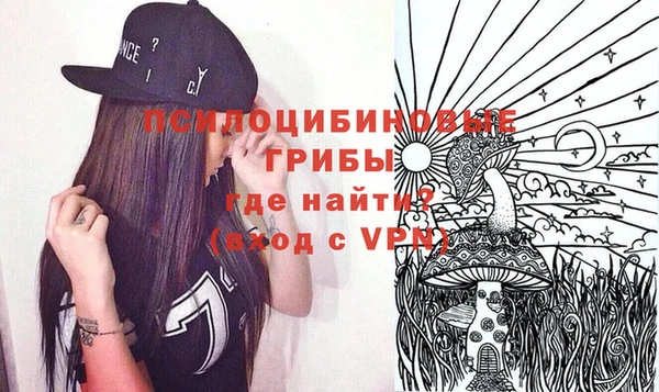 гидра Алексин
