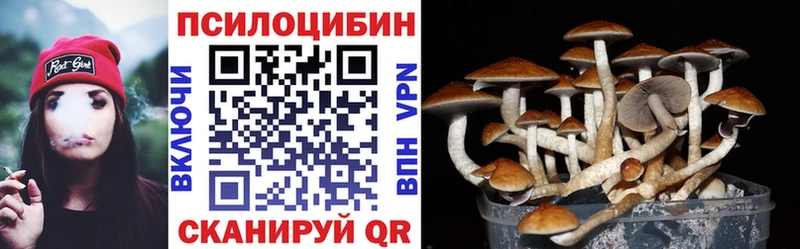 Псилоцибиновые грибы ЛСД Киселёвск