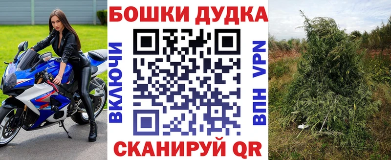 как найти наркотики Киселёвск Конопля марихуана